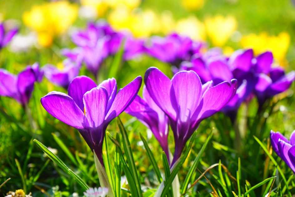 Getting Back on Track: Spring is in the Air Pt. 2