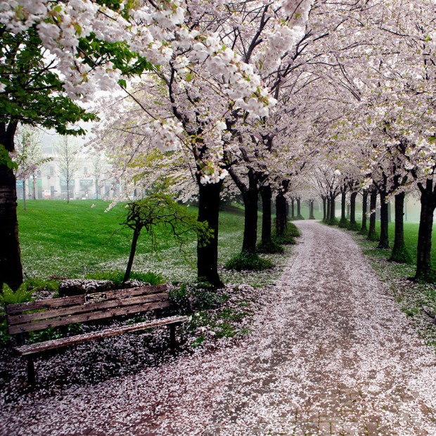 Getting back on track: Spring is in the air!
