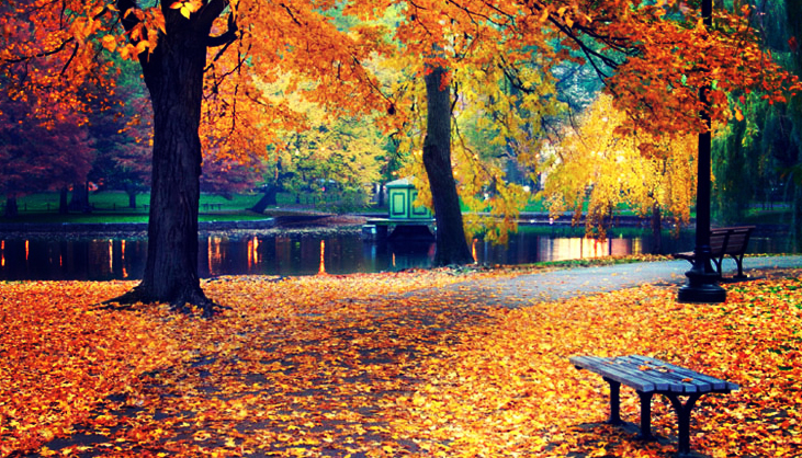 Thanksgiving and Generousity- Personal Reflections from the Tax Specialist Bron Vasic