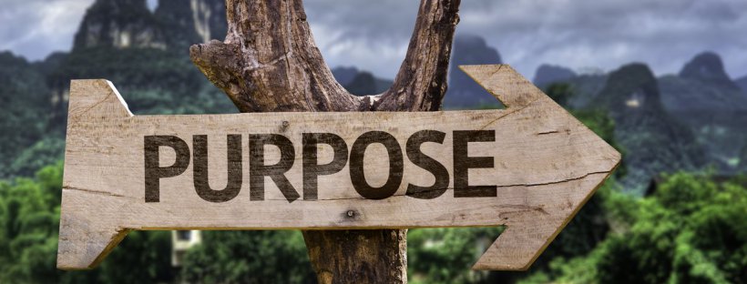 Go Get Gripped: Finding Your Purpose in a Hectic World