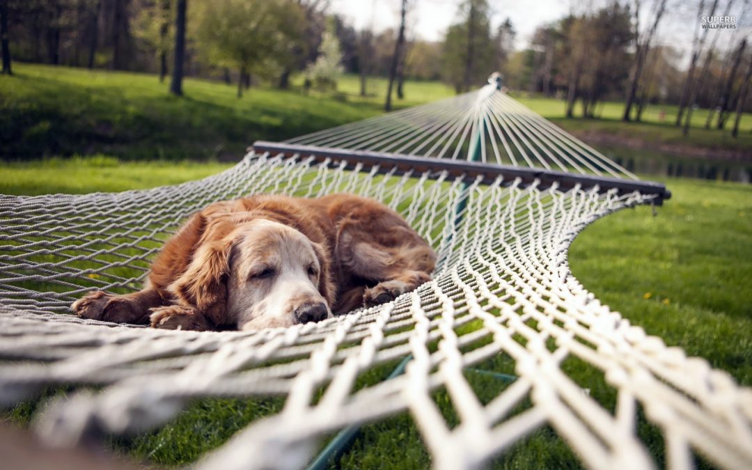 The Myth of Earning Your Rest Pt 1