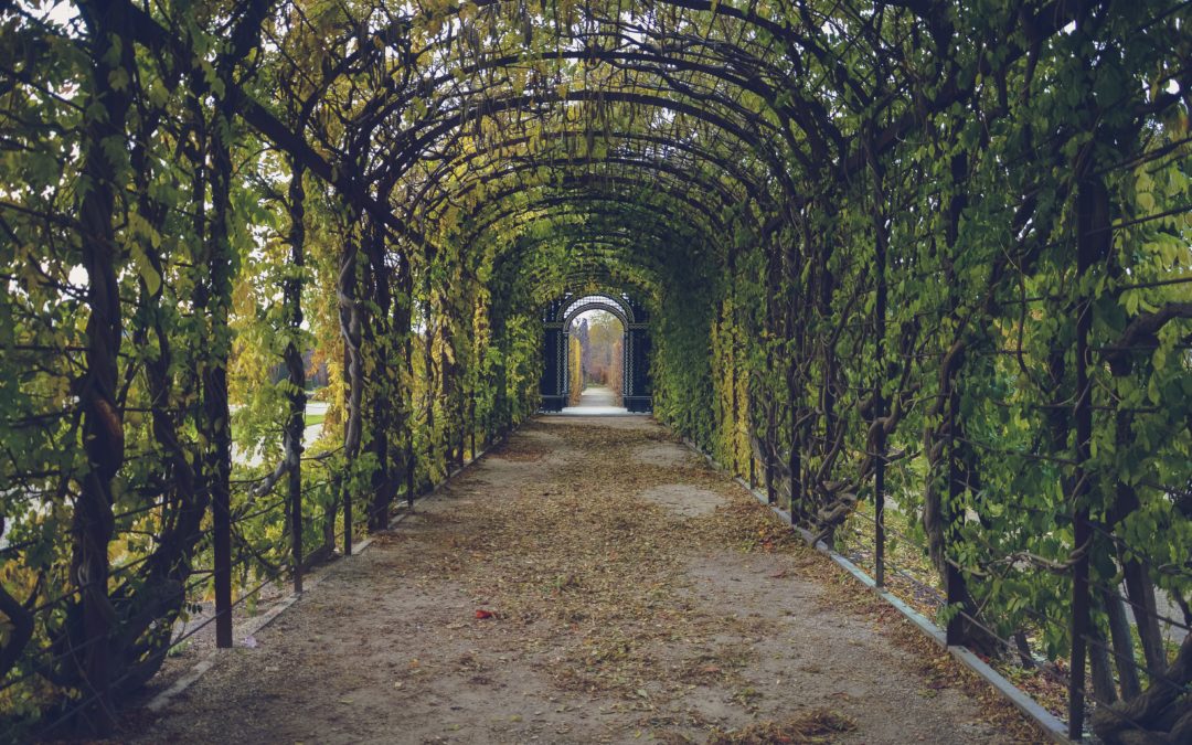 I Come to the Garden
