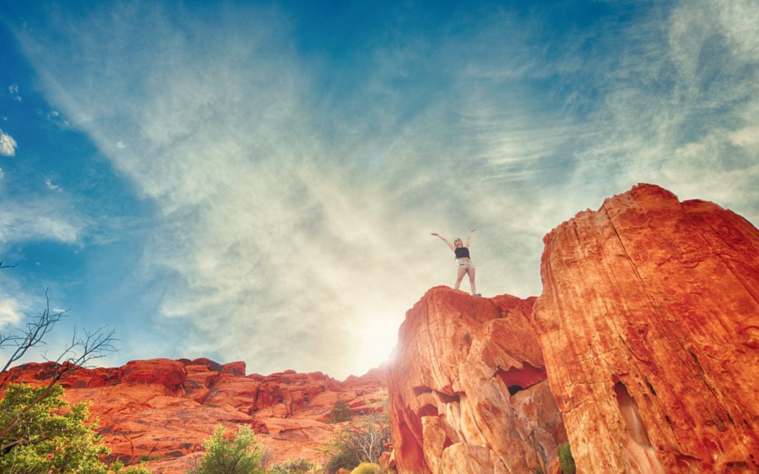 S.E.T. Proceed and Succeed in Your Career: Winning Perspectives for Career Navigation and Success