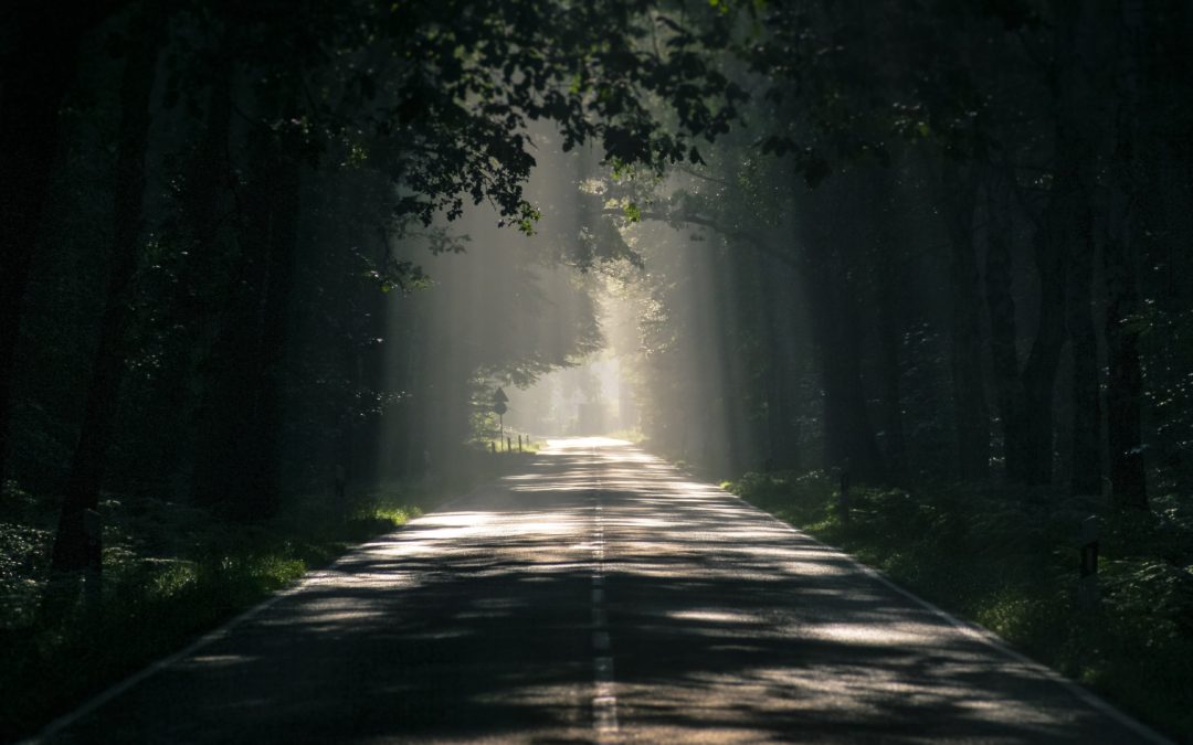 The Path of Need
